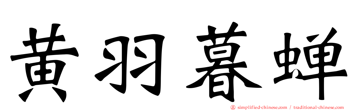 黄羽暮蝉