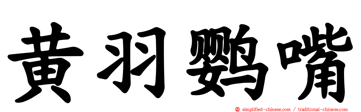 黄羽鹦嘴