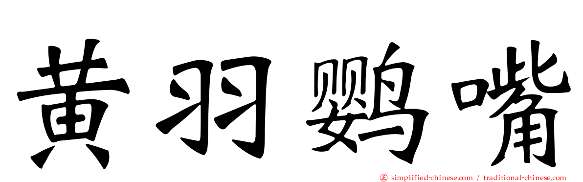 黄羽鹦嘴