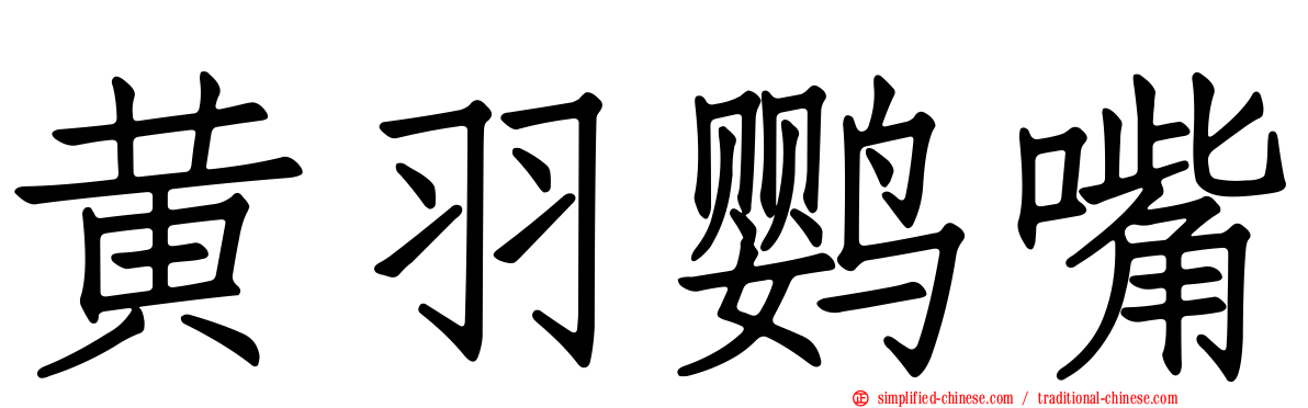 黄羽鹦嘴
