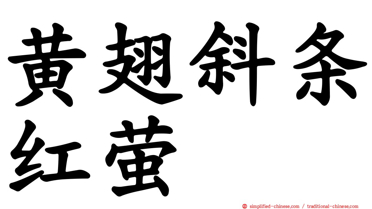 黄翅斜条红萤