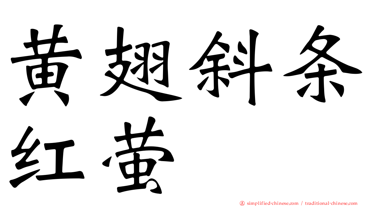 黄翅斜条红萤