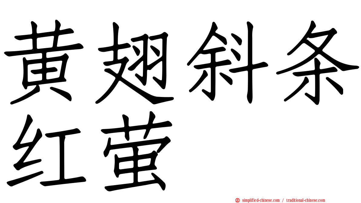 黄翅斜条红萤