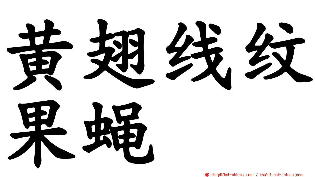 黄翅线纹果蝇