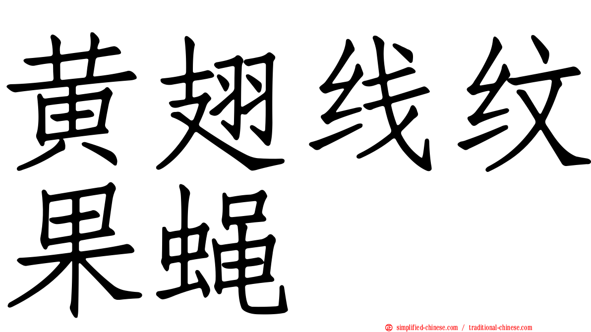 黄翅线纹果蝇