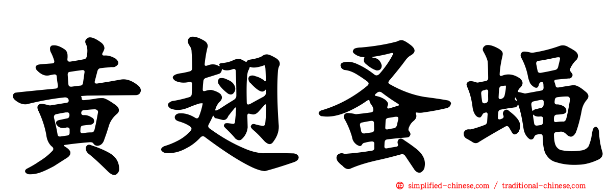 黄翅蚤蝇