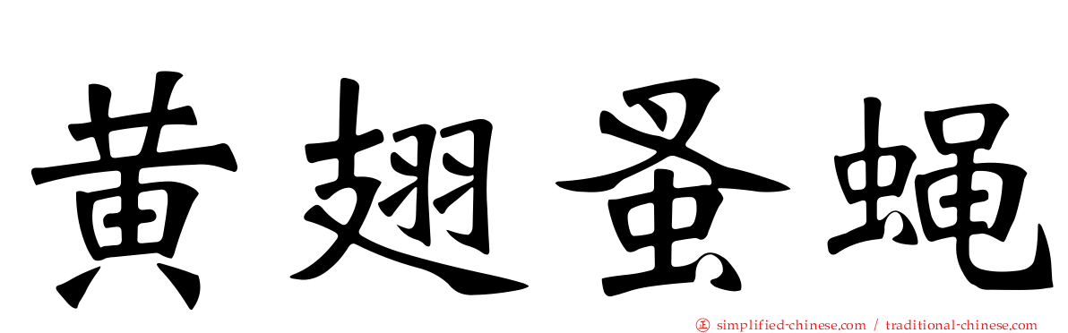 黄翅蚤蝇