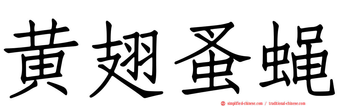 黄翅蚤蝇
