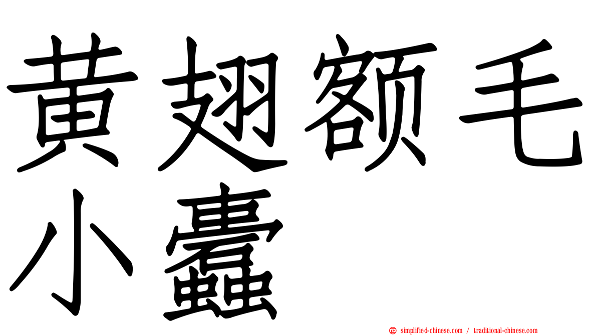 黄翅额毛小蠹