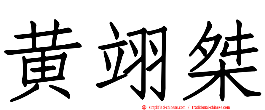 黄翊桀