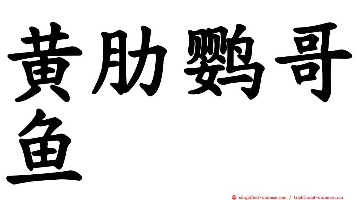 黄肋鹦哥鱼
