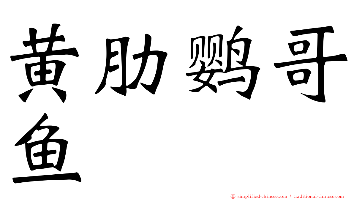 黄肋鹦哥鱼