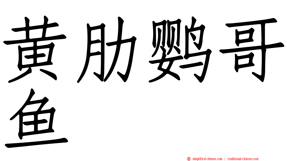 黄肋鹦哥鱼