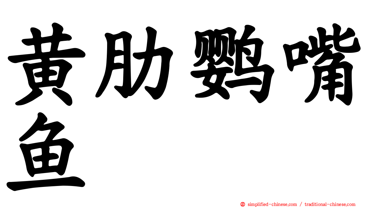 黄肋鹦嘴鱼