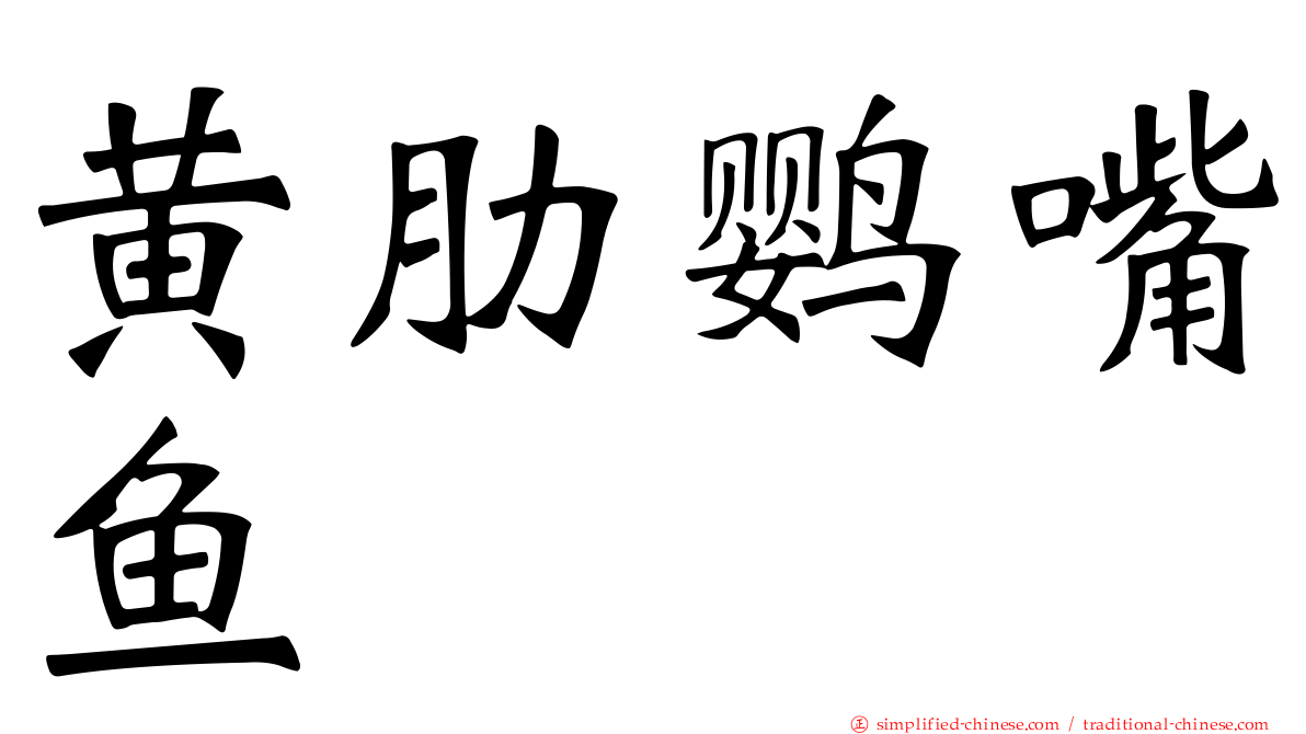 黄肋鹦嘴鱼