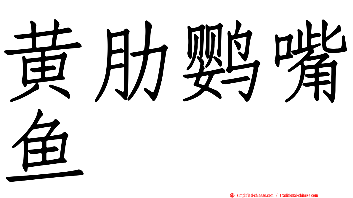 黄肋鹦嘴鱼