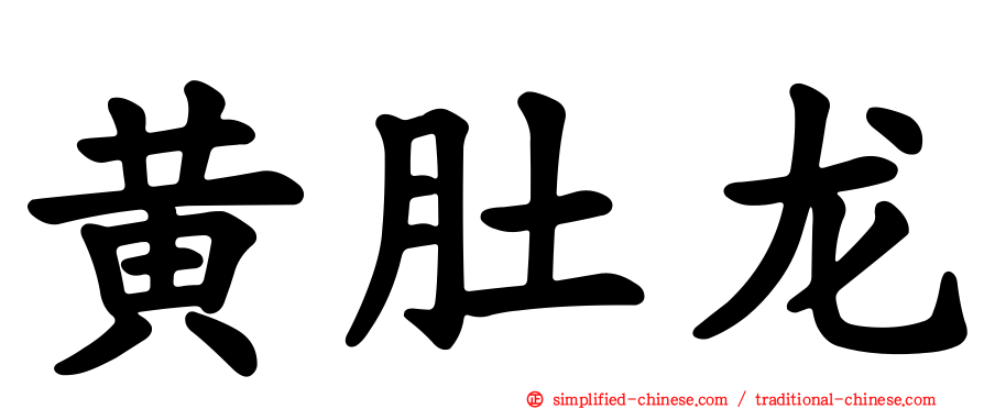黄肚龙