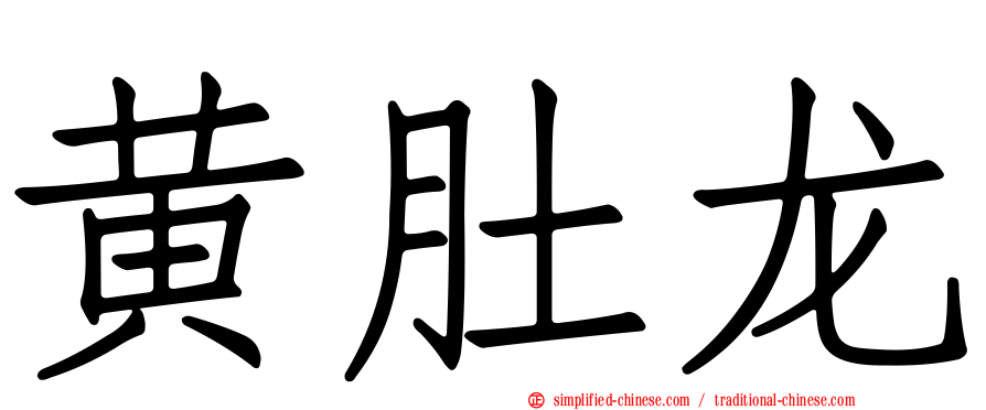 黄肚龙