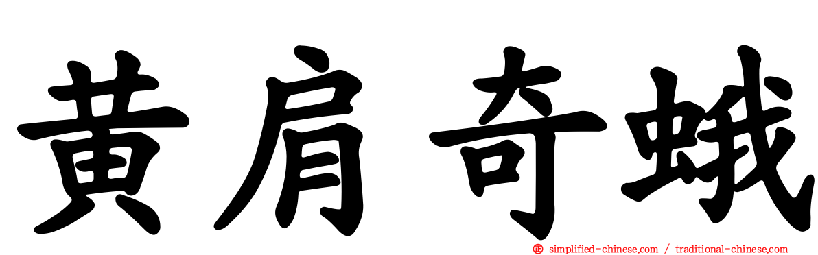 黄肩奇蛾