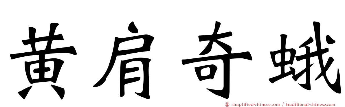 黄肩奇蛾