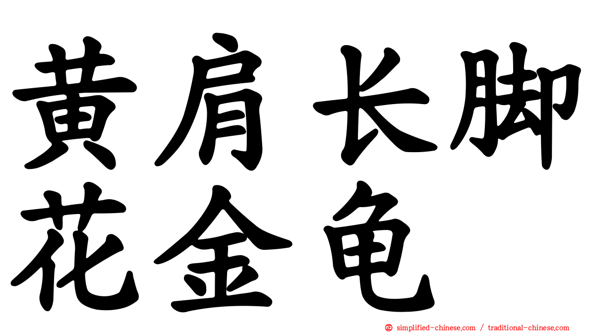 黄肩长脚花金龟