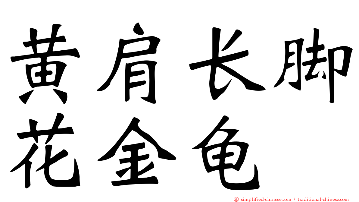 黄肩长脚花金龟