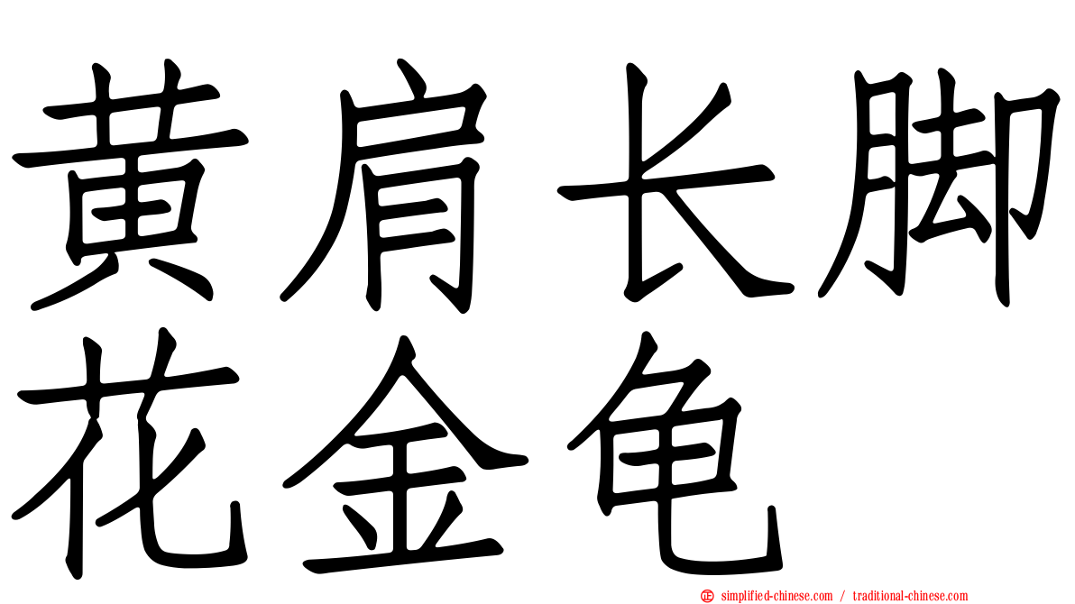 黄肩长脚花金龟