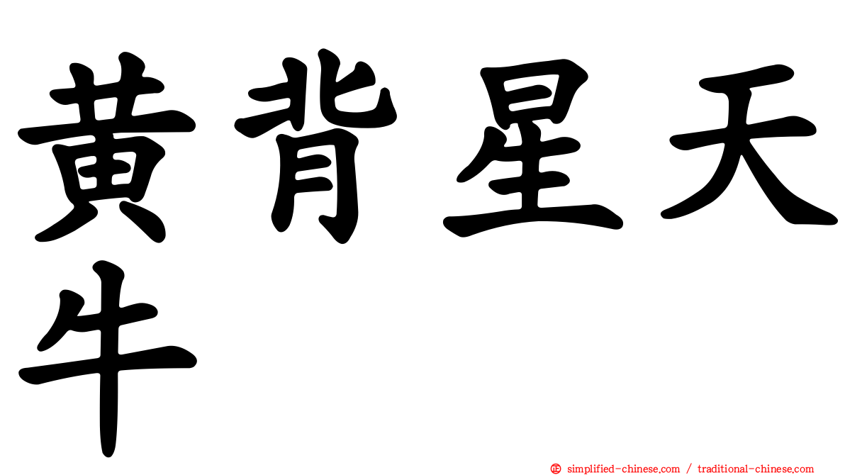 黄背星天牛