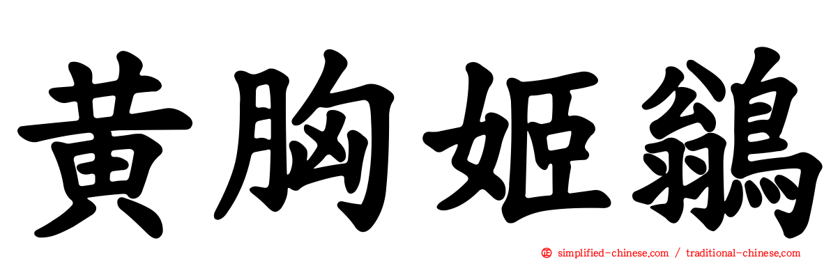 黄胸姬鹟