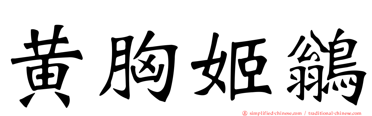 黄胸姬鹟
