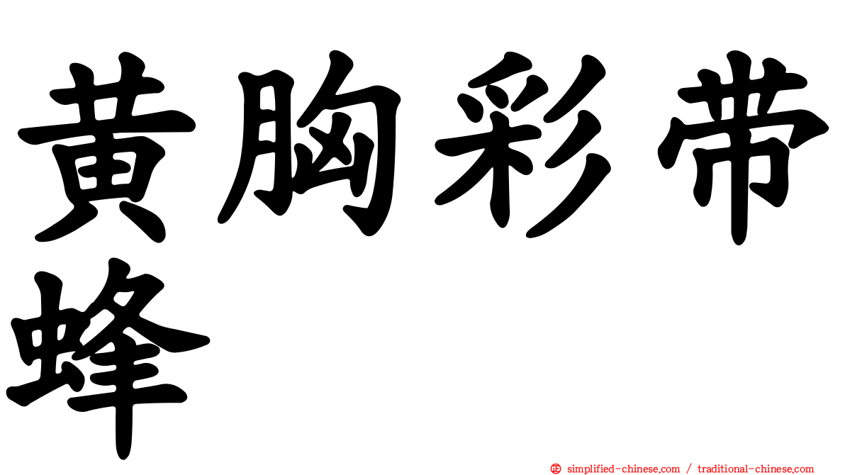 黄胸彩带蜂