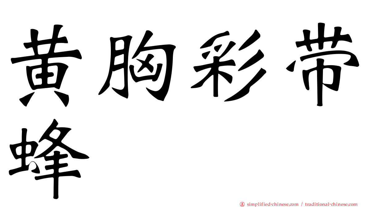 黄胸彩带蜂