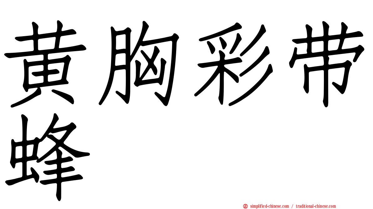 黄胸彩带蜂