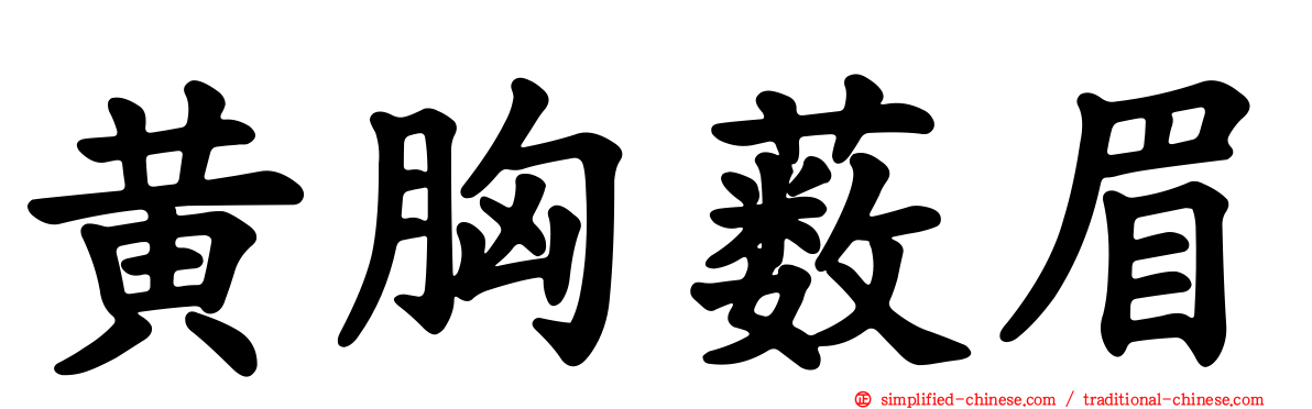 黄胸薮眉