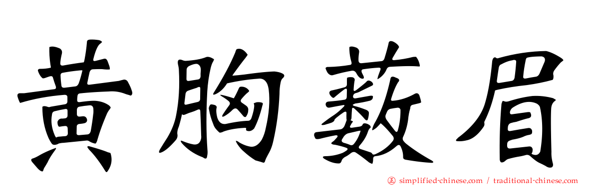 黄胸薮眉