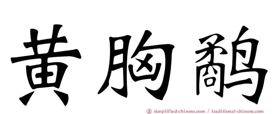 黄胸鹬