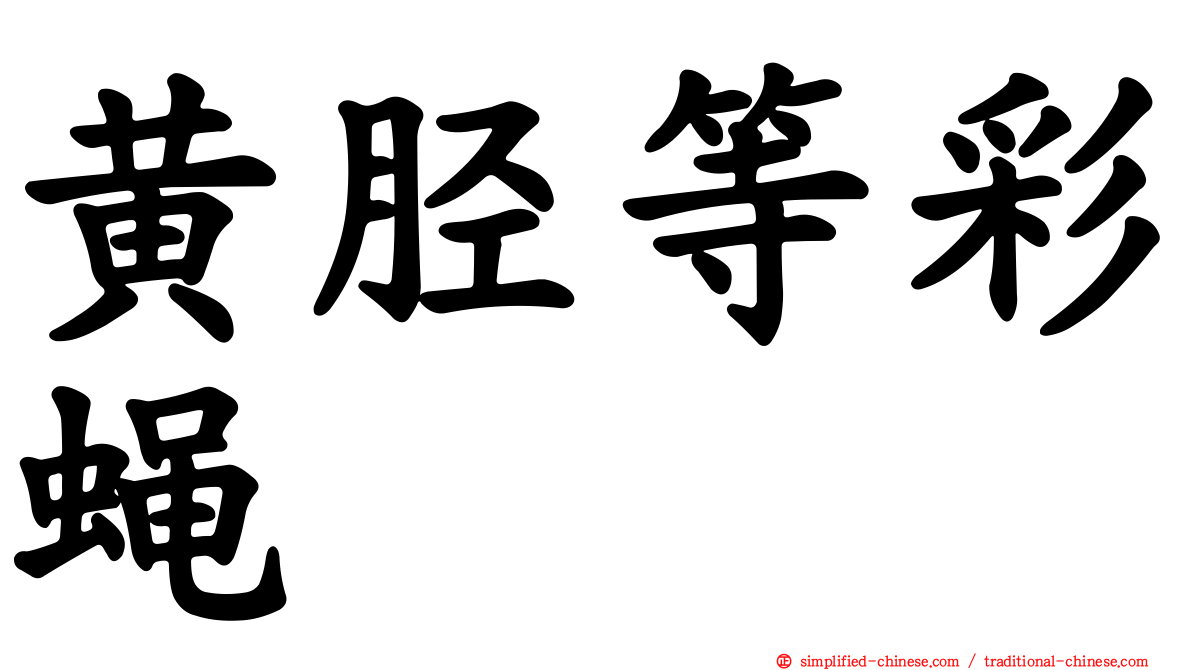 黄胫等彩蝇