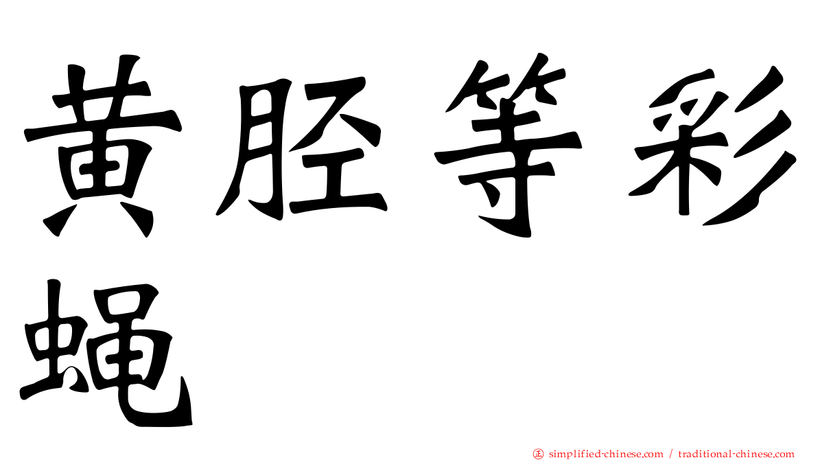 黄胫等彩蝇