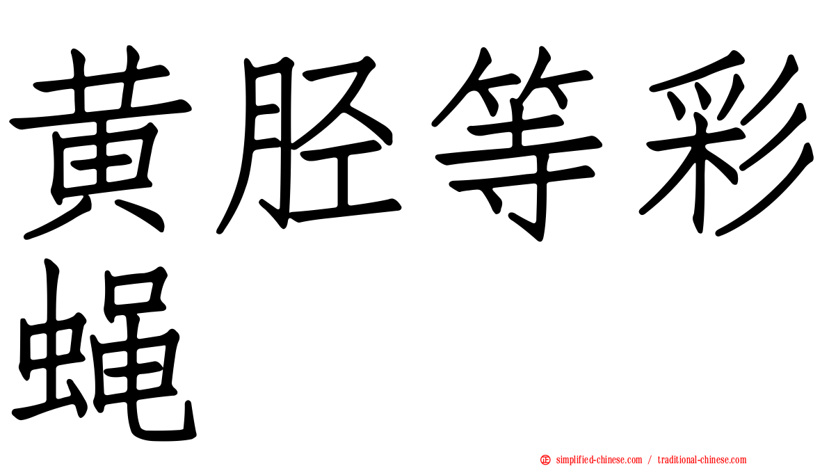 黄胫等彩蝇