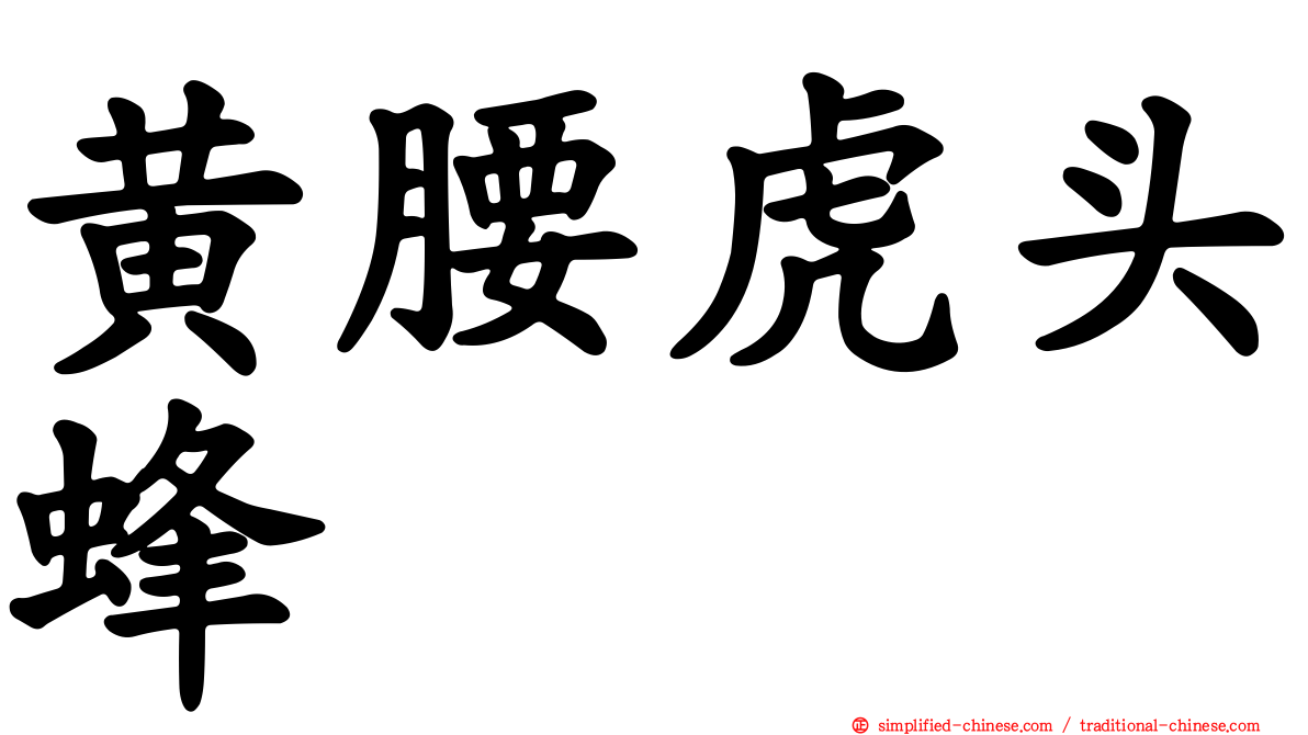 黄腰虎头蜂