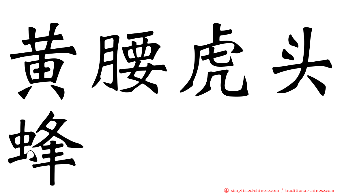 黄腰虎头蜂