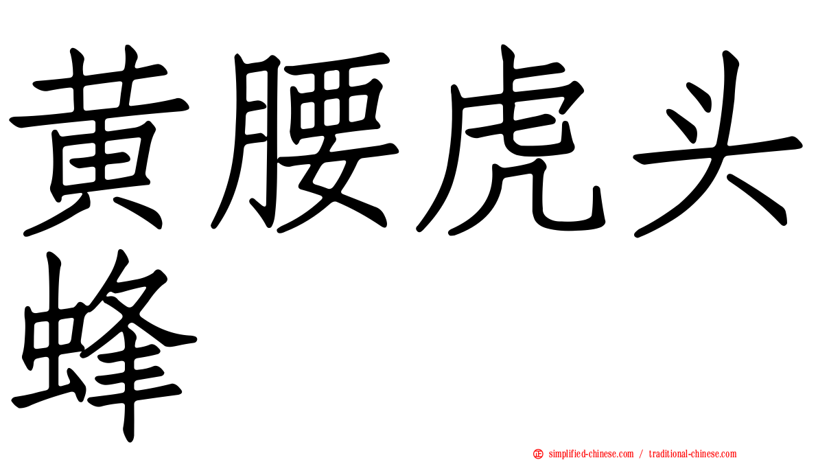 黄腰虎头蜂