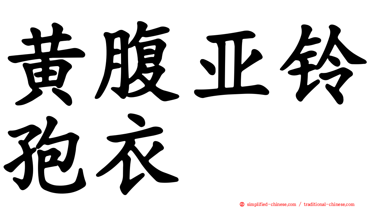 黄腹亚铃孢衣