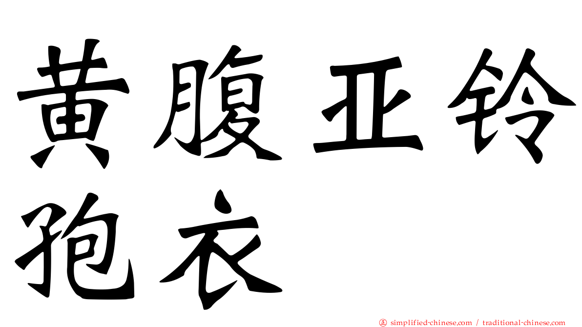 黄腹亚铃孢衣
