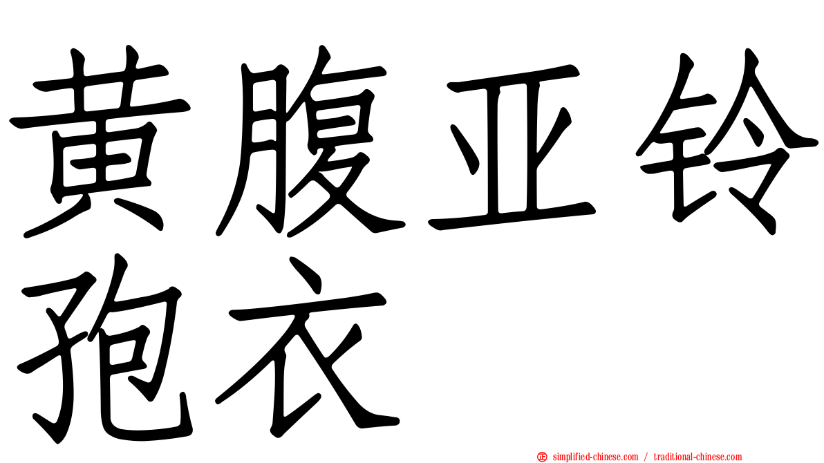 黄腹亚铃孢衣