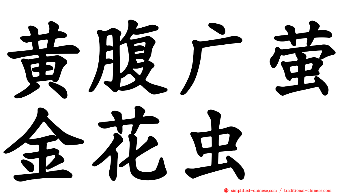 黄腹广萤金花虫