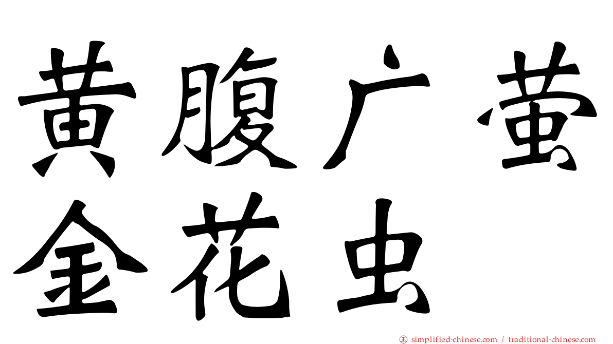黄腹广萤金花虫