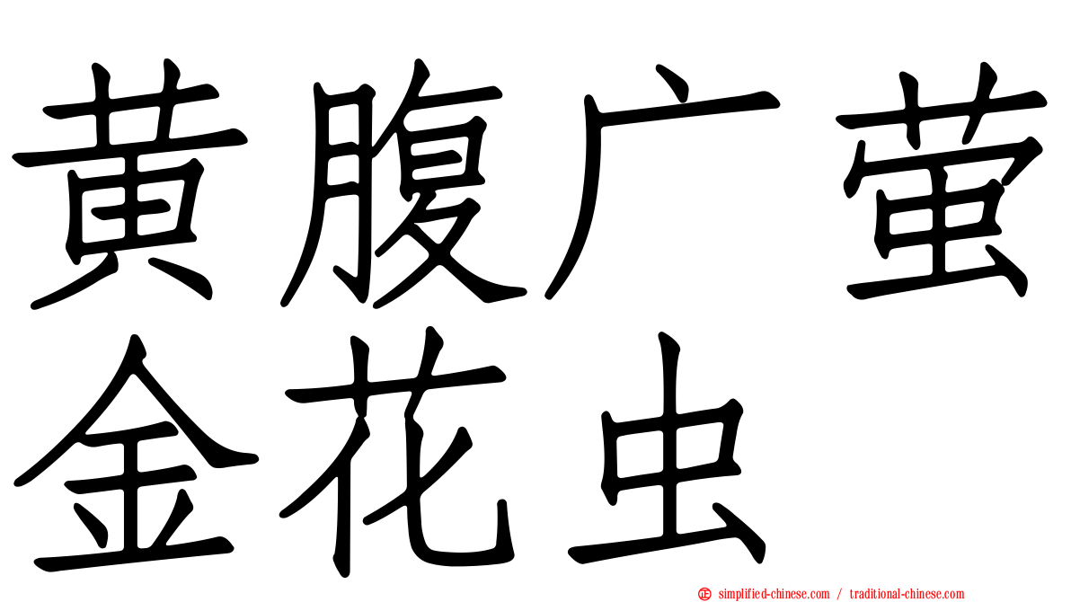 黄腹广萤金花虫