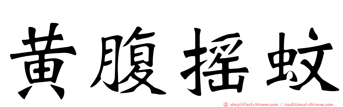 黄腹摇蚊