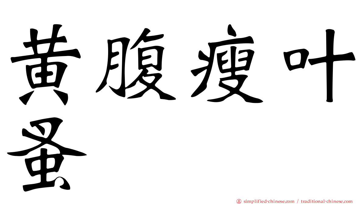 黄腹瘦叶蚤